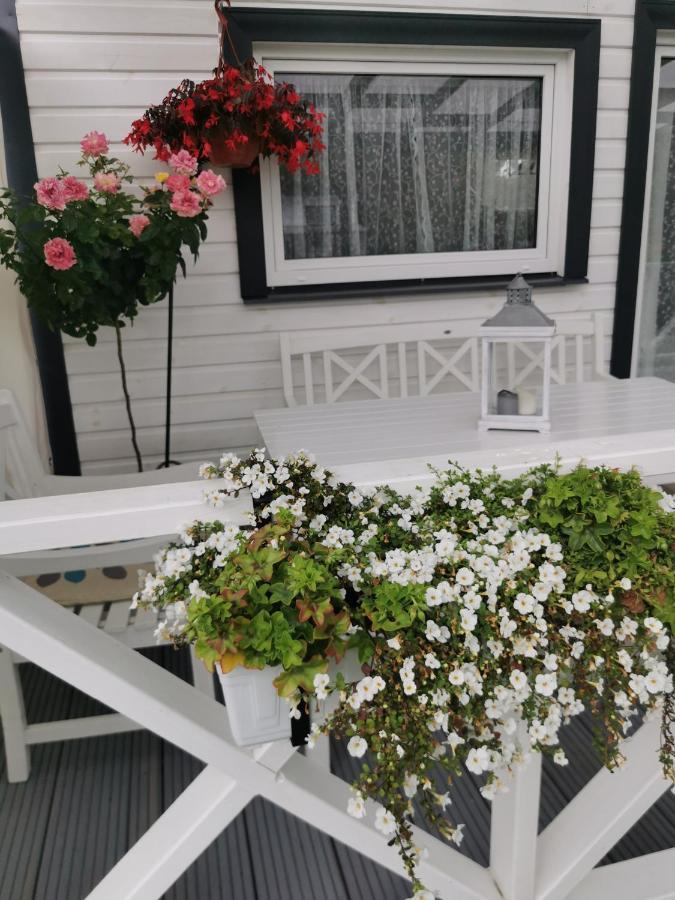 Sapni Villa Kolka Kültér fotó